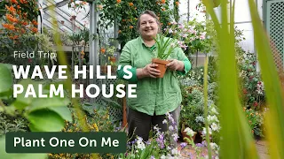 Wave Hill PALM HOUSE Tour — Ep. 369