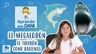 EL MEGALODÓN. El tiburón come ballenas | Aprende con Dani