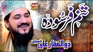 Late Zulfiqar Ali Hussaini Last Video - Tanam Farsooda - Heera Gold