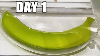Banana After 180 Days In Epoxy Resin | What Happened?