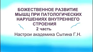 Божественное развитие мышц при патологических нарушениях внутреннего строения  2 часть