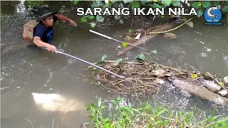 setrum ikan nila kedalaman satu meter