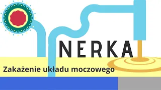 Zakażenie układu moczowego