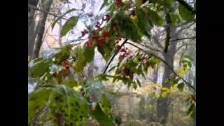 Карачаево-Черкесия дорога на дольмены