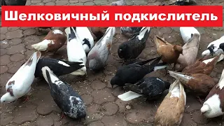 Летние варианты подкислителей. Шелковичный подкислитель.