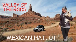 FREE CAMPING at Valley of the Gods - Living In My Jeep