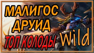 Hearthstone Wild. Малигос Друид 2021 вольный.