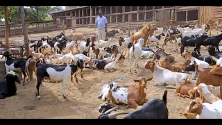 RWENJERU AGRO TOURSIM FARM - Short Documentary