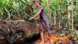 Sustainable management of ironwood and processed using a chainsaw in the jungles of Kalimantan