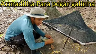 fiz uma armadilha pra pegar galinha + receita - VALDIR BARBOSA