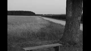 Cold War [Zimna wojna] (2018) by Paweł Pawlikowski, Clip: Paris 1957 - A bench in Poland