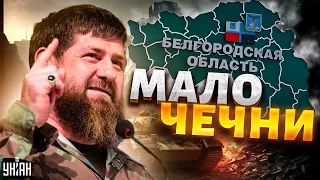 Тебе Чечни мало? Кадыров захотел Белгородскую область - Закаев объяснил