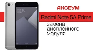 Xiaomi Redmi Note 5A Prime: замена дисплея  Replacement LCD Redmi Note 5A