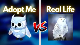 Adopt Me Pets In REAL LIFE! (Comparison)