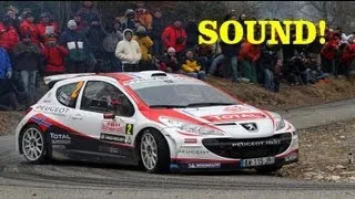 Peugeot 207 S2000 Evo - Pure Sounds