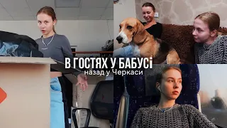 Дуркуємо з собакою у бабусі в гостях ❤️ Трудноші у веденні інста-магазину | Мій досвід лазерки