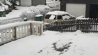 first snowfalling of the winter 2020 in norway