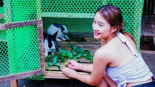 Make a House for the Rabbits -  New Members of the Farm - Life Off the Grid | Thảo Bushcraft