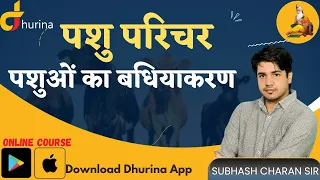 पशुओं का बधियाकरण || By Subhash Charan Sir #gksubhashcharan #trending #गुरुकुल