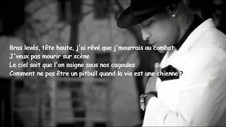 BOOBA - Pitbull (lyrics)