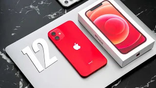 iPhone 12 UNBOXING and SETUP! - THIS IS THE ONE TO BUY!