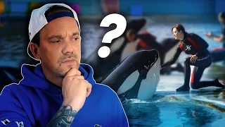 LE PROBLÈME AVEC SEAWORLD - TOOPET