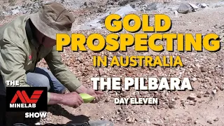 Finding Gold in the Pilbara with Minelab Metal Detectors - Day 11