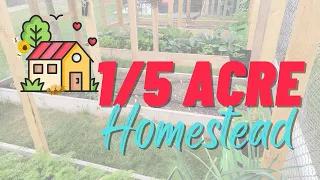 How Much Land to Homestead | Small Backyard Homestead