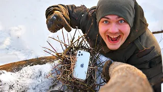 Нашли iPhone 12 в гнезде!