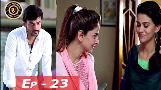 Besharam Episode - 23 - ARY Digital Top Pakistani Dramas
