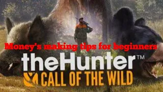 Call of the wild: Money making tips for beginners