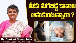 మగబిడ్డ కావాలా? || Chances of Baby Boy in IVF || Dr Chekuri Suvarchala || Ziva Fertility