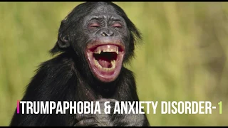 Trumpaphobia and Anxiety Disorder - 1