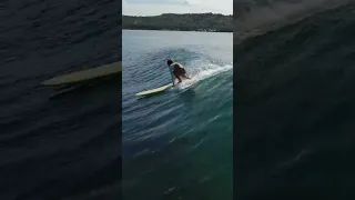 This Longboard Wave is Just Perfect