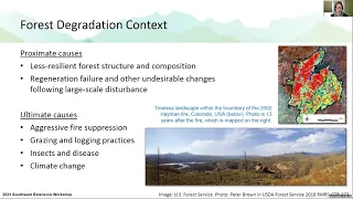 Environmental, Social and Technical Focus on Biochar: Nathaniel Anderson