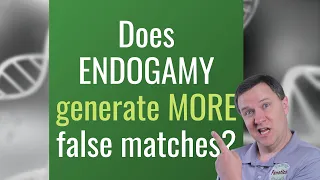 Are More False DNA Matches Likely In Endogamous Populations?