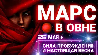 МАРС В ОВНЕ 🔥🔥🔥 БЕШЕННАЯ ЭНЕРГИЯ ПРОБУЖДЕНИЯ ⚡️25 МАЯ - 5 ИЮЛЯ ✨️ ПРОГНОЗ АСТРОЛОГА ДЛЯ ВСЕХ ЗНАКОВ