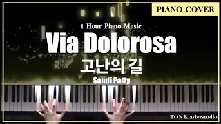Sandi Patty - Via Dolorosa (Piano Cover) 고난의 길 / 1 Hour Piano Worhip