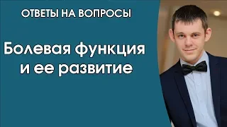 Болевая функция и ее развитие