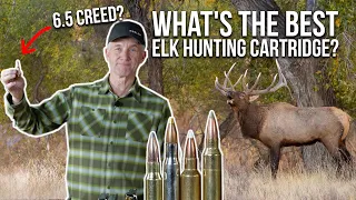 Randy Reacts to Your Elk Hunting Cartridges!