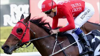 The Everest 2017 Redzel taking owners on ride of lifetime