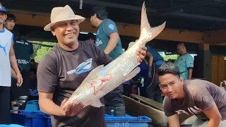 rezeki pembuka tirai nelayan pukat jerut TRF1379 Jogho