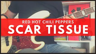 Red Hot Chili Peppers | Scar Tissue (Bass cover with TABS)