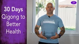 Day #21 - Opening the 3 Tan Tiens - 30 Days of Qigong to Better Health - Chris Shelton Qigong