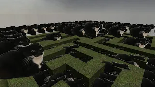 Trying to Escape from Maxwell Cat Nextbot Army in Maze