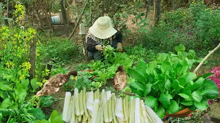 Harvesting cabbage, taro tree, making countryside cook recipe, take care of animals