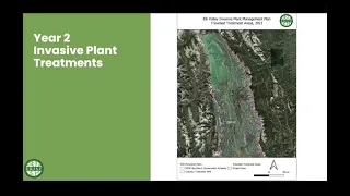 Elk Valley Invasive Plant Project Update | + invasives 101