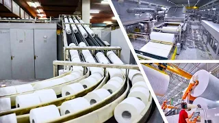 From Trees to ROLLS! How TOILET PAPER 🧻 is Made | The Journey Of Toilet Paper Production