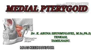 Medial Pterygoid Muscle || Origin || Insertion || Nerve Supply || Action || Animated video