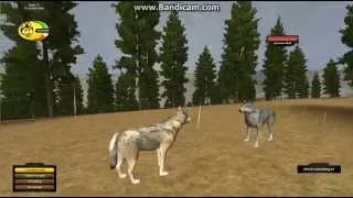 Прохождение игры - WolfQuest. Эпизод 1